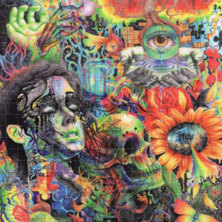 Cerebral Dysfunction by Callie Fink, 500 carrés, 20 x 16 cm