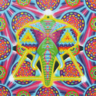 Ganesh by Ciaran Shaman
