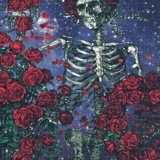 Grateful Dead's Bertha in the Stars, 500 carrés, 20 x 16 cm