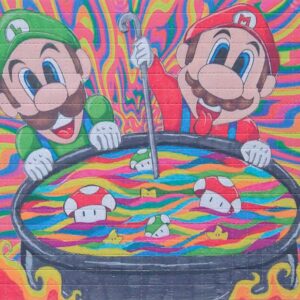 Mario and Luigi's Mushroom Soup, 500 carrés, 16 x 20 cm