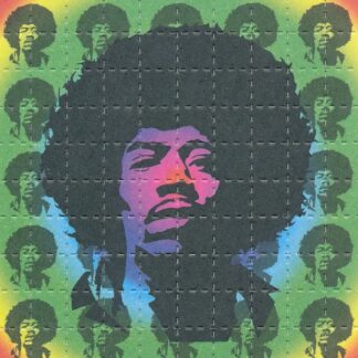 Jimi Hendrix by Monkey