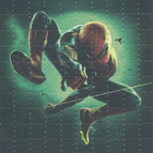 Spiderman by Mr Wills, 100 carrés, 20 x 16 cm