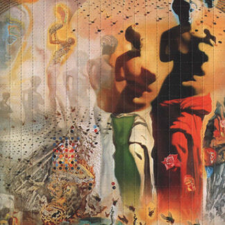 Le Toréador Hallucinogène de Dalí, 500 carrés, 20 x 16 cm