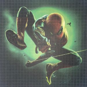 Spiderman by Mr Wills