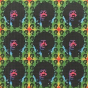 Jimi Hendrix by Monkey