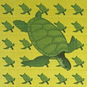 Turtles, 100 carrés, 6,4 x 6,4 cm